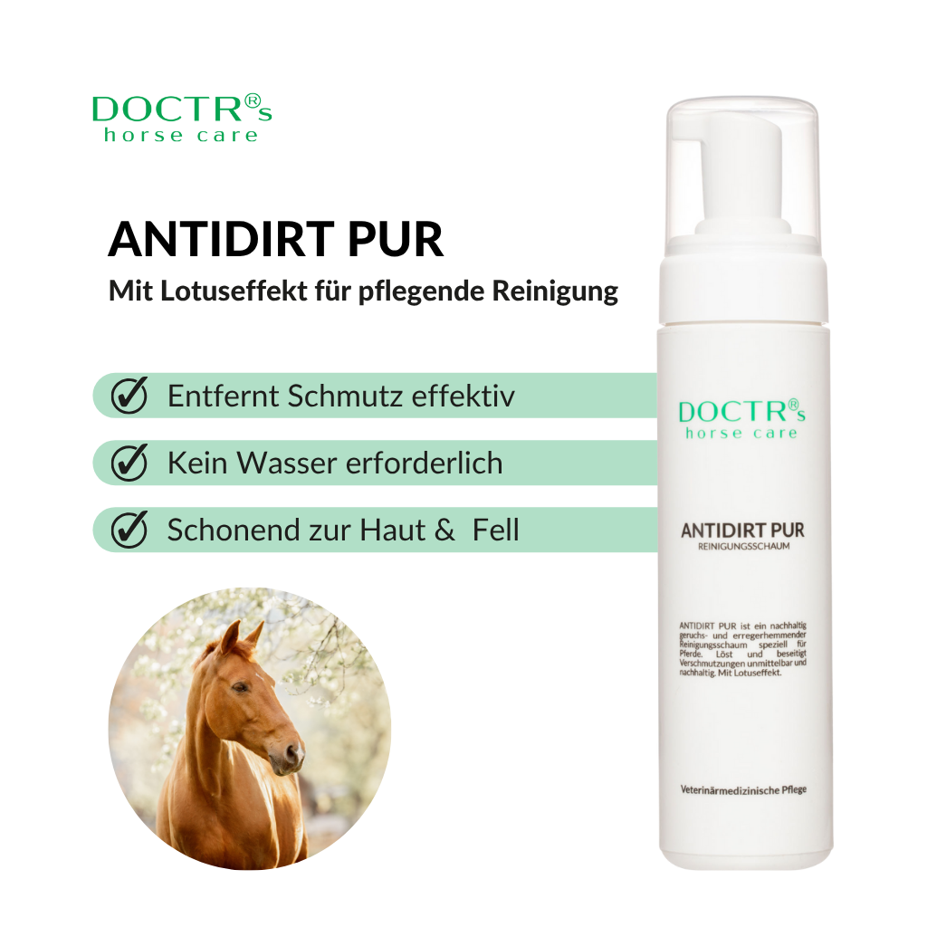 ANTIDIRT PUR - Reinigungsschaum für Pferde