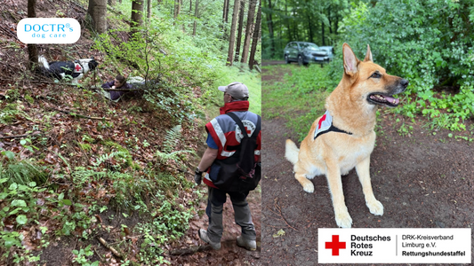 Einsatzbereit bei jedem Wetter: Wie die Rettungshundestaffel Limburg mit DOCTRs dog care ihre Vierbeiner schützt